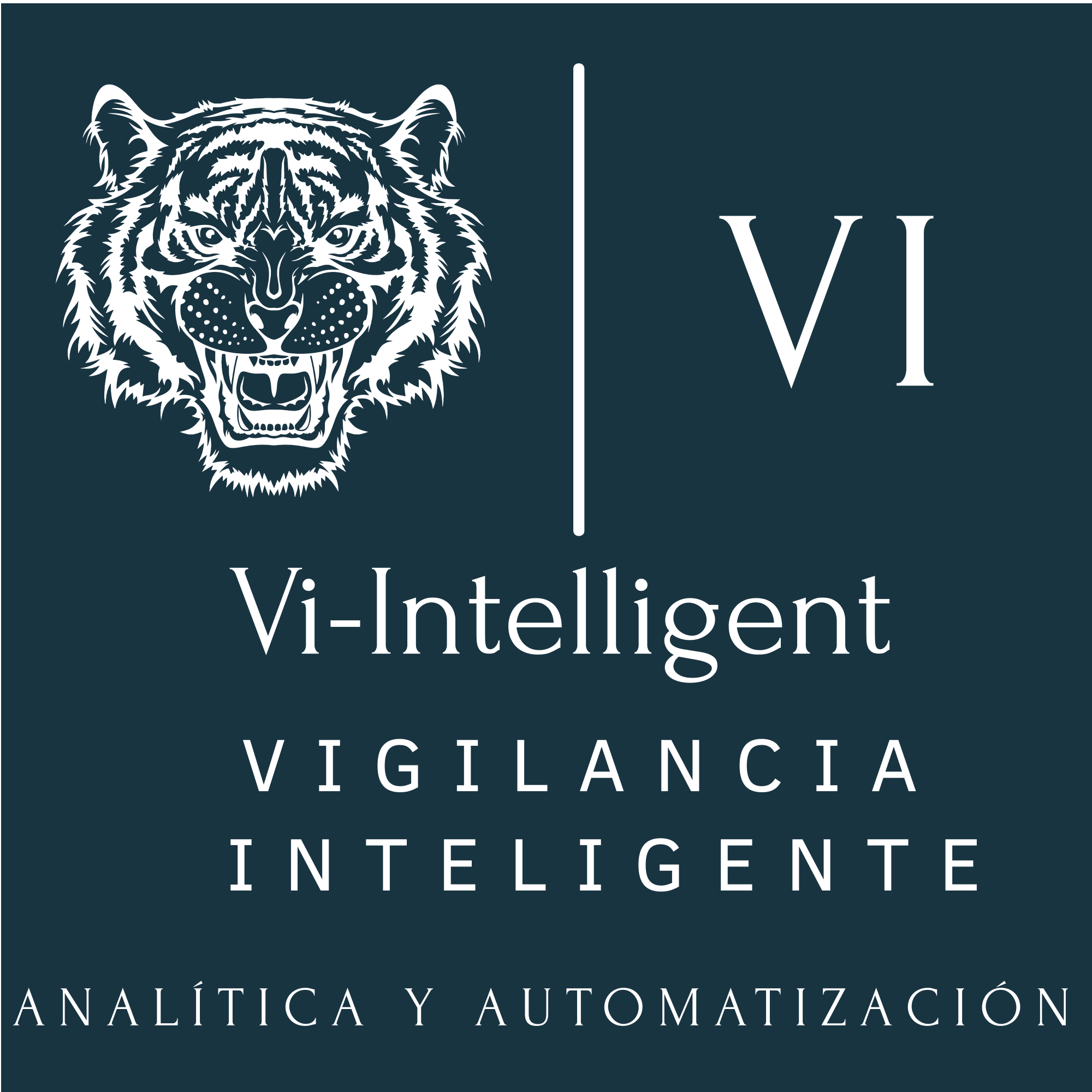 Vi-intelligent Store